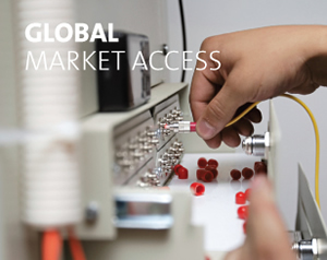france-global-market-access
